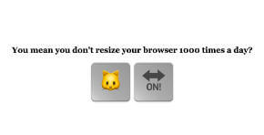 You mean you don't resize your browser 1000 times a day?