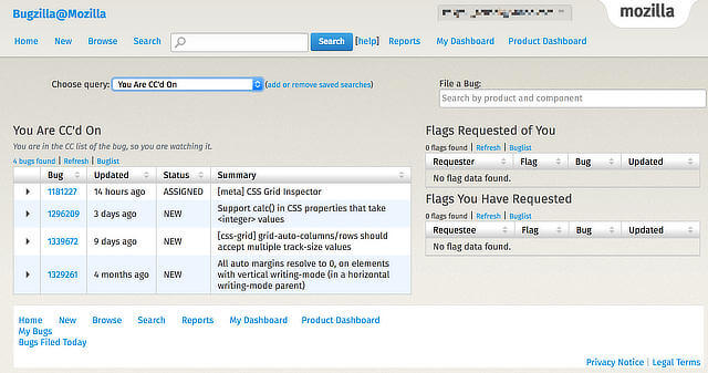 Raising bugs for Firefox
