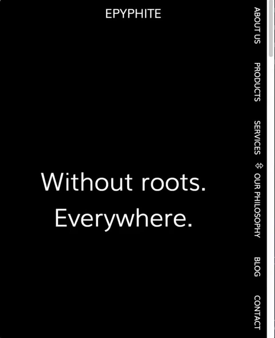CSS layout properties