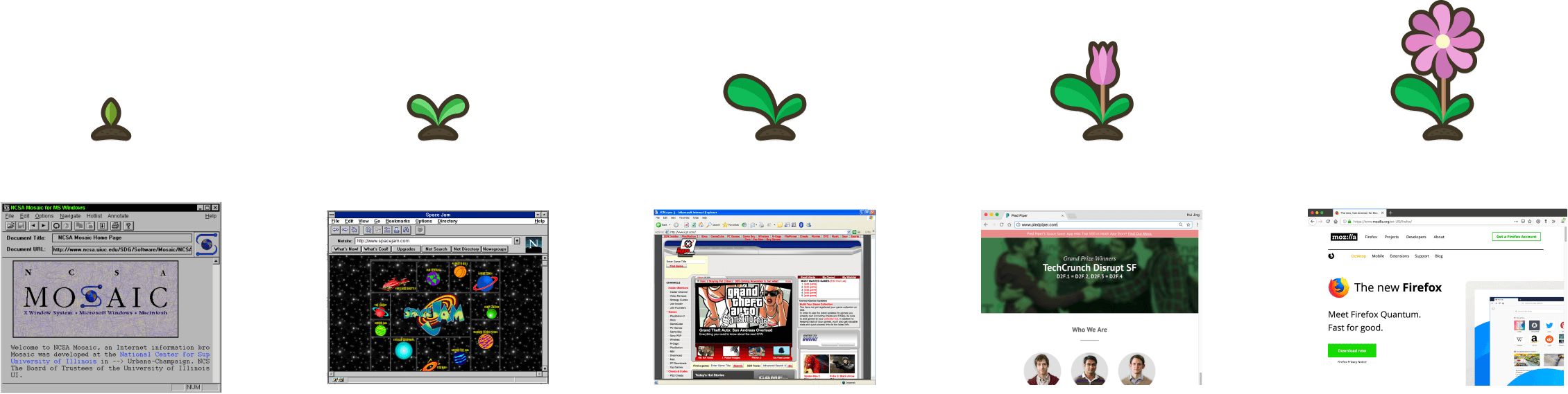 Seedling growing into a flower