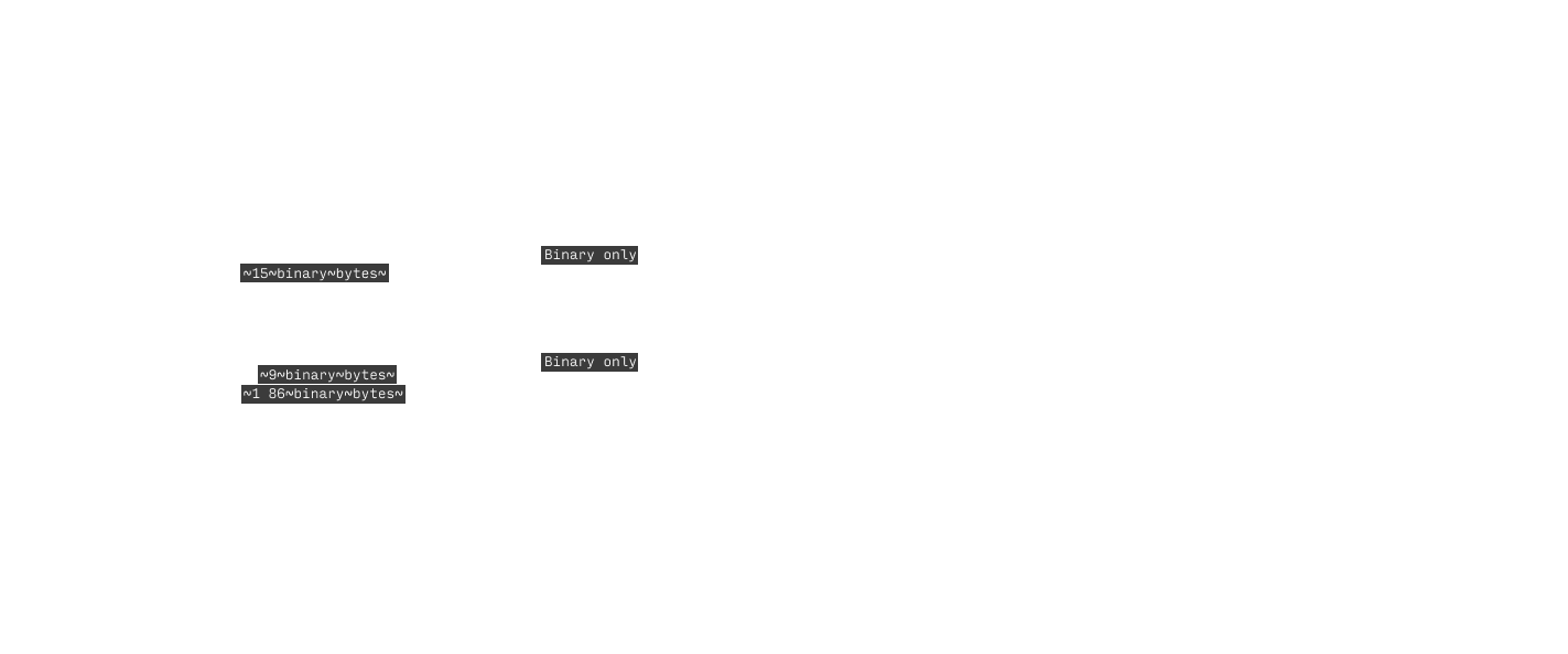 Structure of a Type 1 font program and dictionary structure which is created when it executes