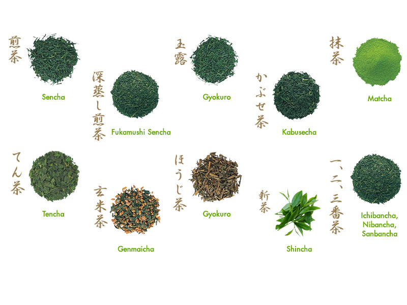Varieties of Green Tea