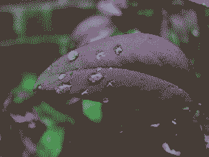 2-bit image