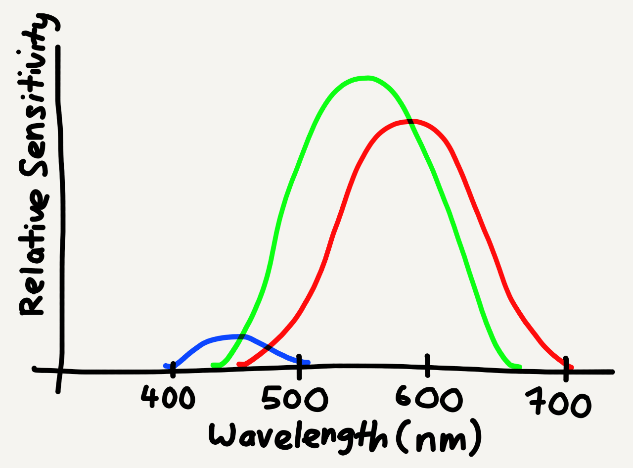 Diagram showing visible light spectrum