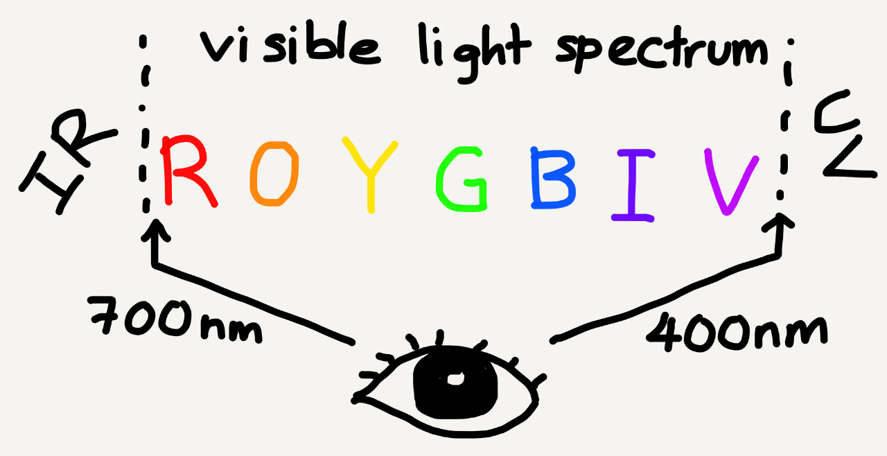 Diagram showing visible light spectrum